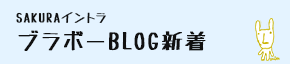 湘南サーフィンスクールブログ-sakura